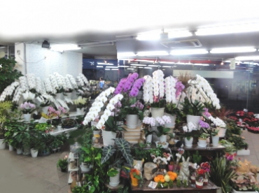秋田県秋田市の花屋 花徳にフラワーギフトはお任せください 当店は 安心と信頼の花キューピット加盟店です 花キューピットタウン